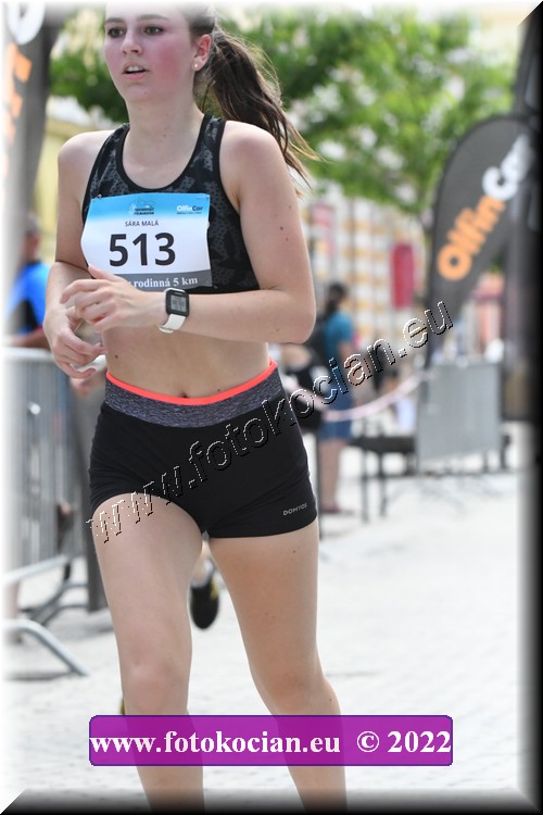 Náhled obrázku: 2022-1125-Trutnov-513.JPG