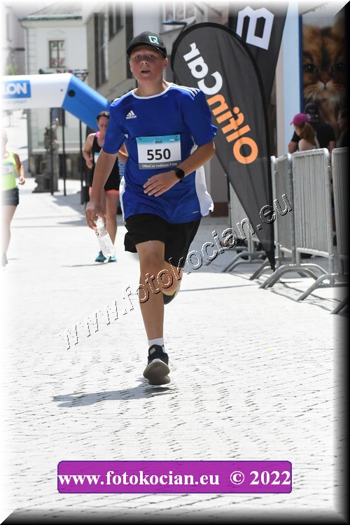 Náhled obrázku: 2022-1211-Trutnov-550.JPG