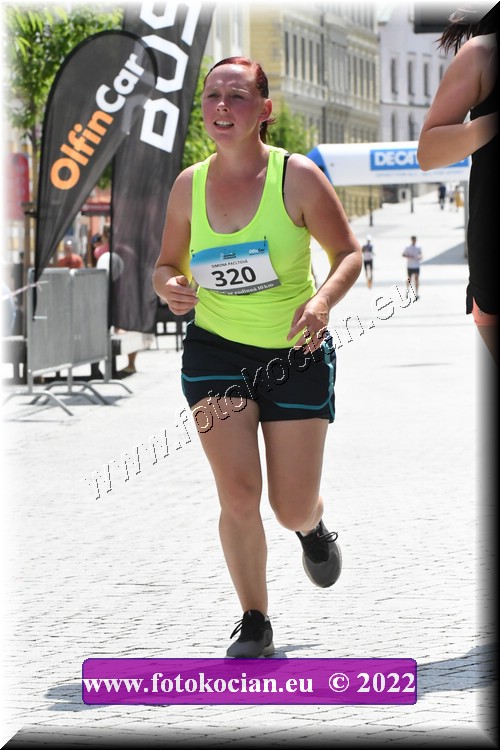 Náhled obrázku: 2022-1218-Trutnov-320.JPG