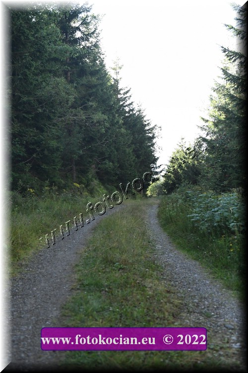 Náhled obrázku: 2022-1924-JasnkeLazne-.JPG