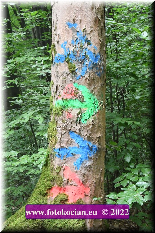 Náhled obrázku: 2022-1983-JasnkeLazne-.JPG