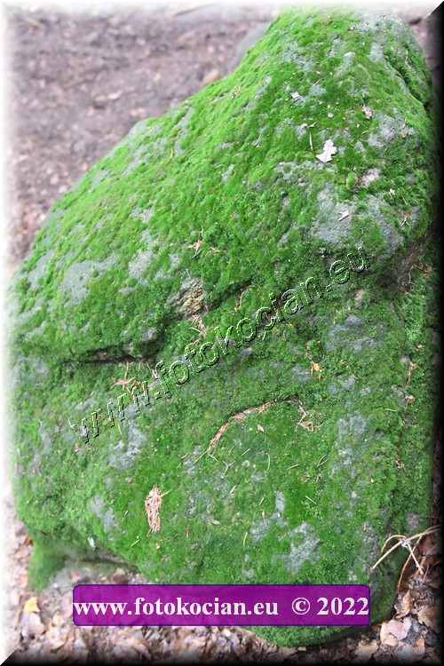 Náhled obrázku: 2022-2734-Sudety-.JPG