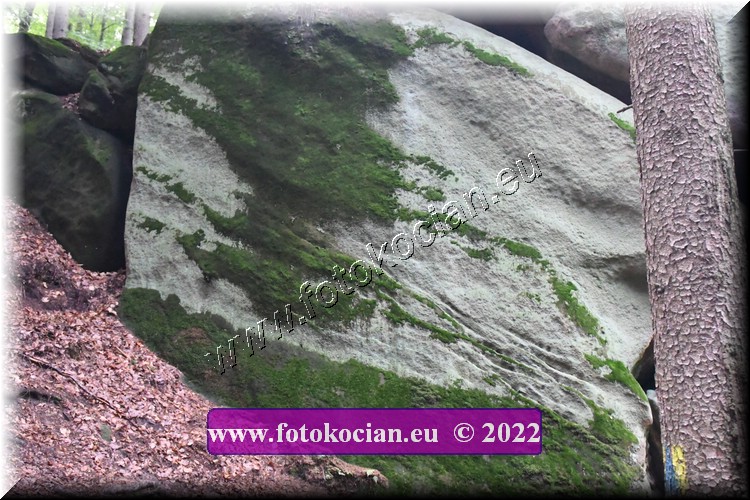 Náhled obrázku: 2022-2739-Sudety-.JPG