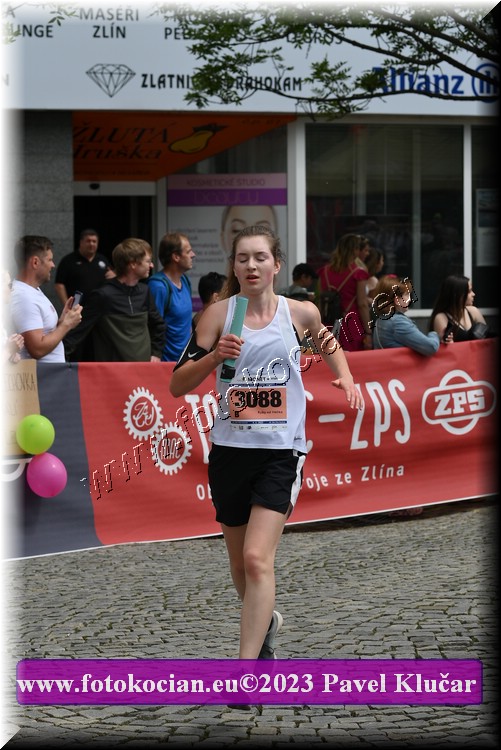 Náhled obrázku: 2023-4538-Zlin-3088.JPG