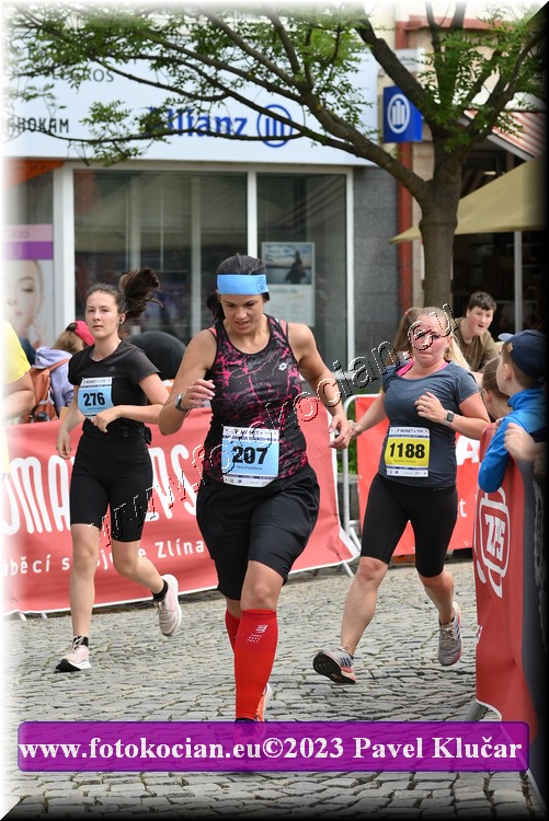 Náhled obrázku: 2023-5132-Zlin-207,1188.JPG