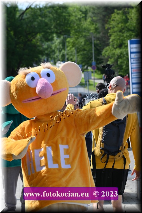 Náhled obrázku: DSC_3153.JPG