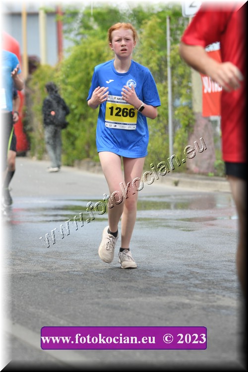 Náhled obrázku: 2023-1824-Zlin-1266.JPG