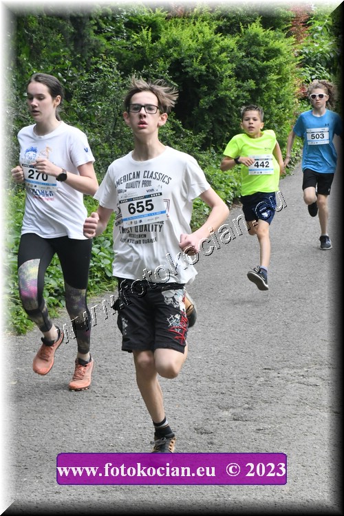 Náhled obrázku: 2023-2929-Zlin-270,655.JPG