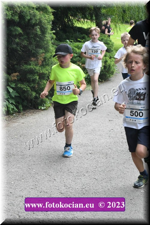 Náhled obrázku: 2023-2990-Zlin-850,500.JPG