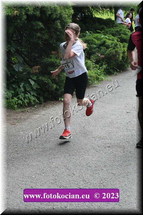 Náhled obrázku: 2023-3077-Zlin-315.JPG