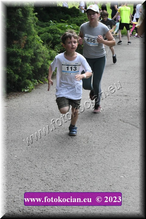 Náhled obrázku: 2023-3079-Zlin-113,656.JPG