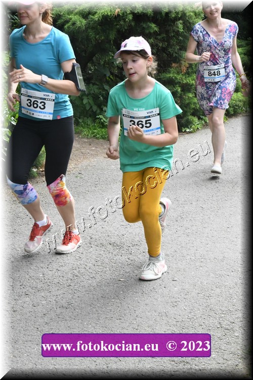 Náhled obrázku: 2023-3135-Zlin-363,365.JPG