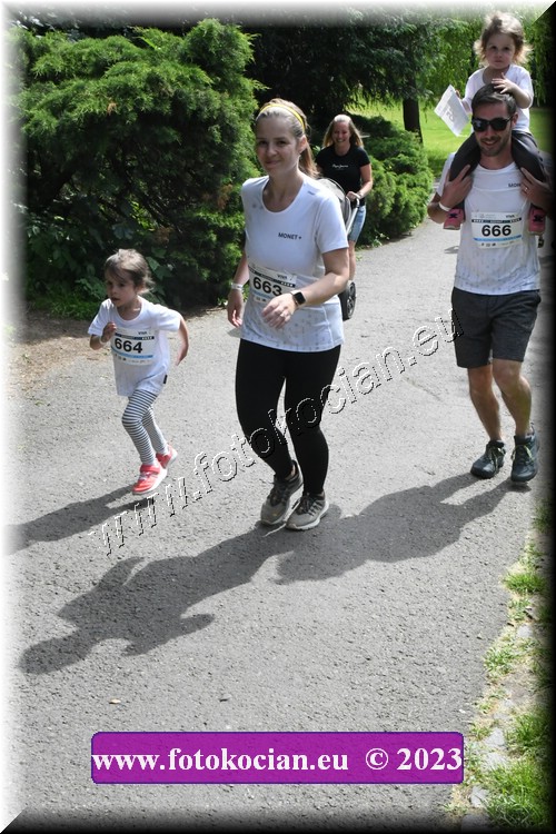 Náhled obrázku: 2023-3309-Zlin-663,666,664.JPG