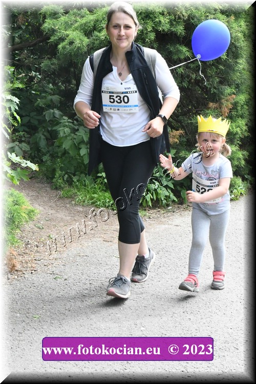 Náhled obrázku: 2023-3325-Zlin-530,529.JPG