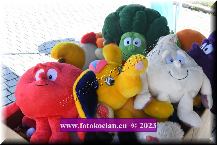 Náhled obrázku: 2023-2703-Trutnov-.JPG