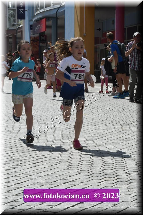 Náhled obrázku: 2023-2335-Trutnov-781,779.JPG