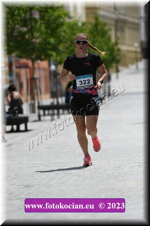 Náhled obrázku: 2023-1120-Trutnov-322.JPG