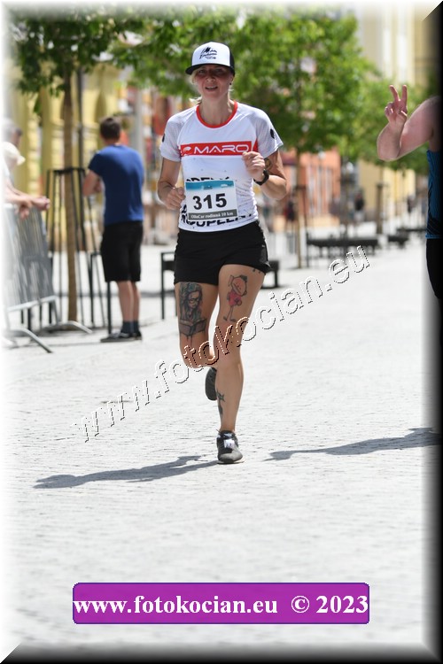 Náhled obrázku: 2023-1242-Trutnov-315,304.JPG