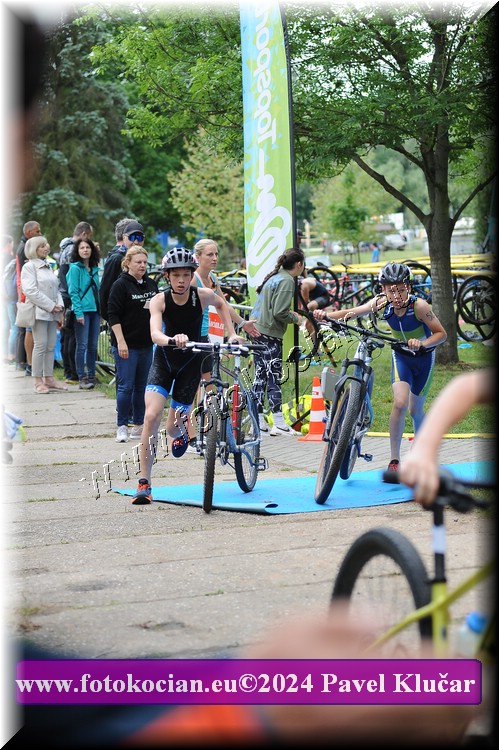 Náhled obrázku: 2024-3227-Podebradsky-triatlon-.JPG