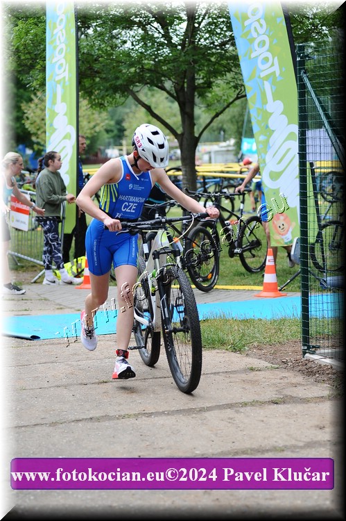 Náhled obrázku: 2024-3248-Podebradsky-triatlon-.JPG