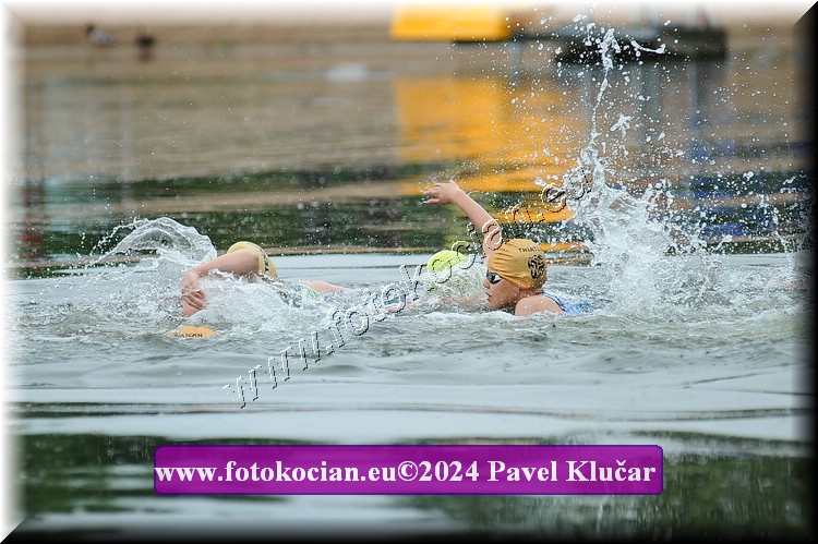 Náhled obrázku: 2024-3054-Podebradsky-triatlon-.JPG