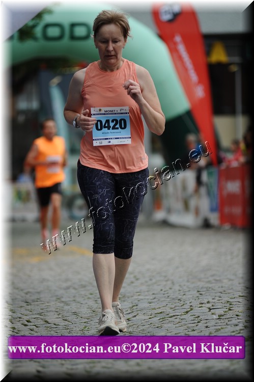 Náhled obrázku: 2024-6159-Zlin-420.JPG