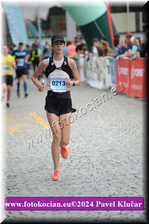 Náhled obrázku: 2024-6464-Zlin-213.JPG