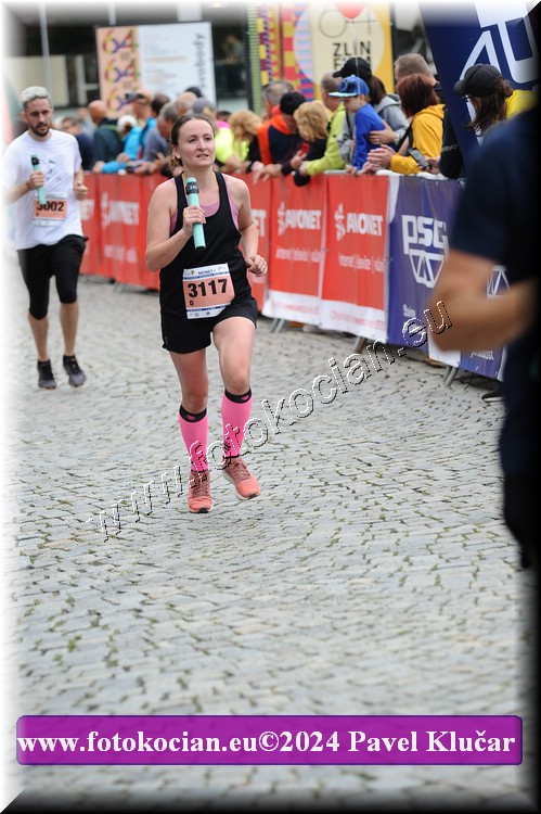 Náhled obrázku: 2024-6481-Zlin-3117.JPG