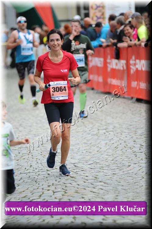 Náhled obrázku: 2024-6495-Zlin-3064.JPG