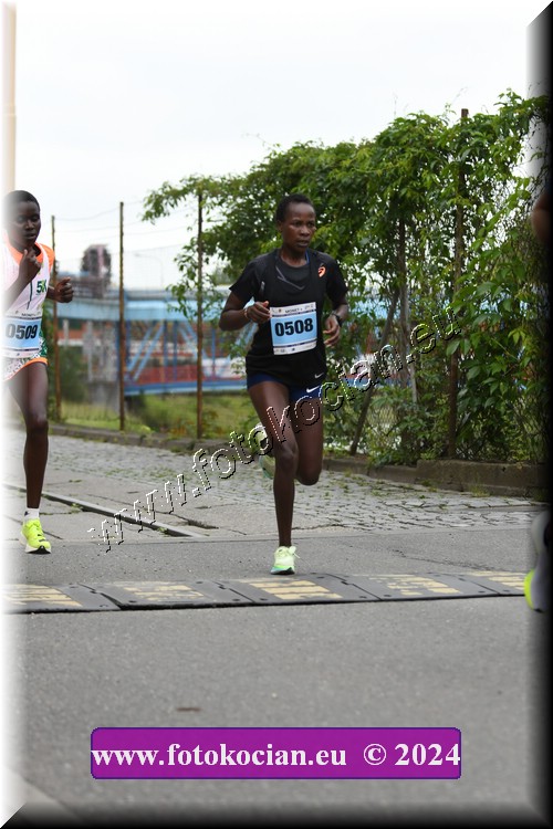 Náhled obrázku: 2024-1021-Zlin-508.JPG