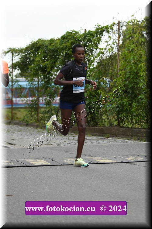 Náhled obrázku: 2024-1022-Zlin-508.JPG