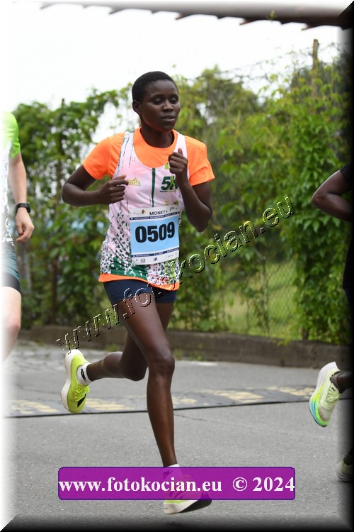 Náhled obrázku: 2024-1024-Zlin-509.JPG