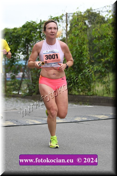 Náhled obrázku: 2024-1077-Zlin-3001.JPG