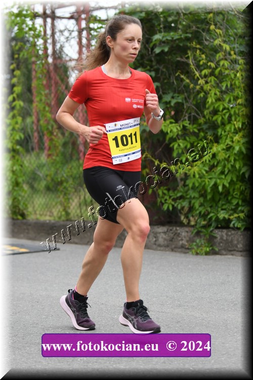 Náhled obrázku: 2024-1128-Zlin-1011.JPG