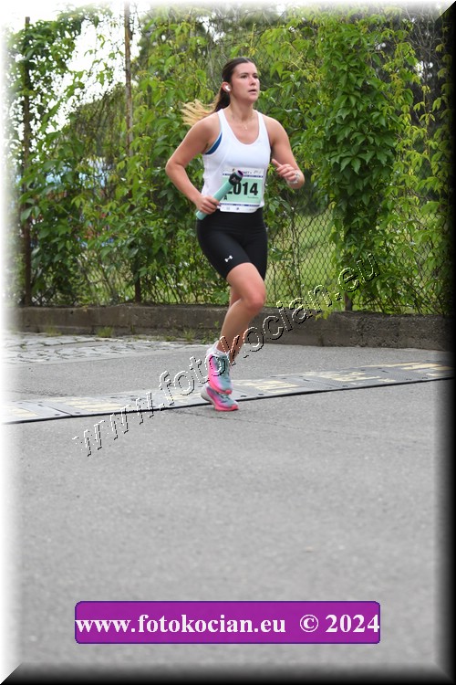 Náhled obrázku: 2024-1477-Zlin-2014.JPG