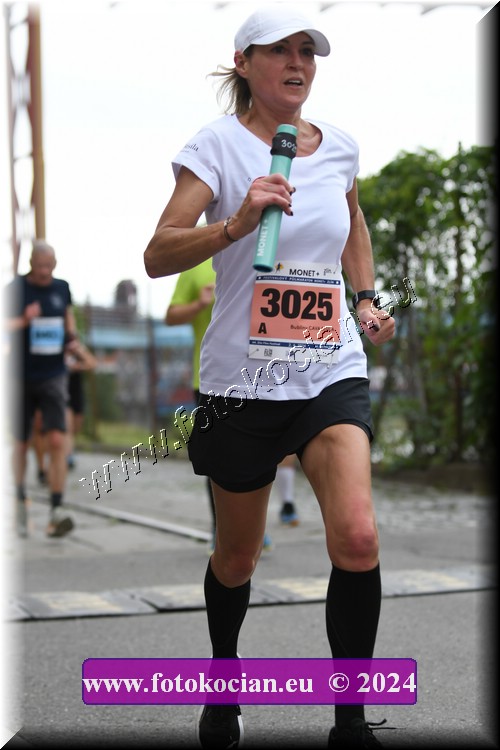 Náhled obrázku: 2024-1540-Zlin-3025.JPG