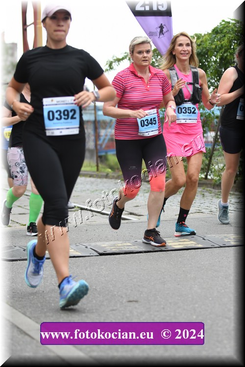 Náhled obrázku: 2024-1939-Zlin-352,345.JPG