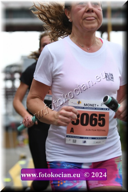 Náhled obrázku: 2024-1992-Zlin-3065.JPG