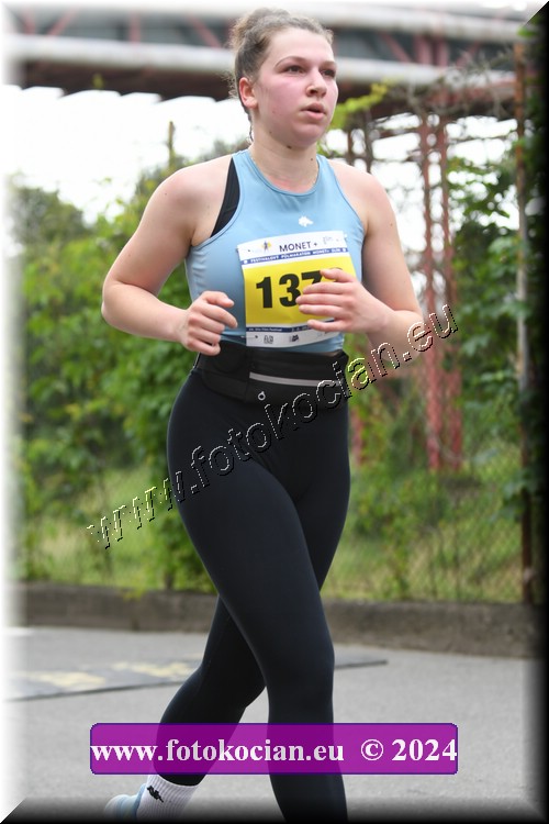 Náhled obrázku: 2024-2003-Zlin-1373.JPG