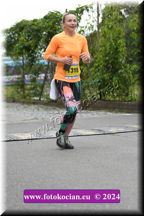 Náhled obrázku: 2024-2037-Zlin-1310.JPG