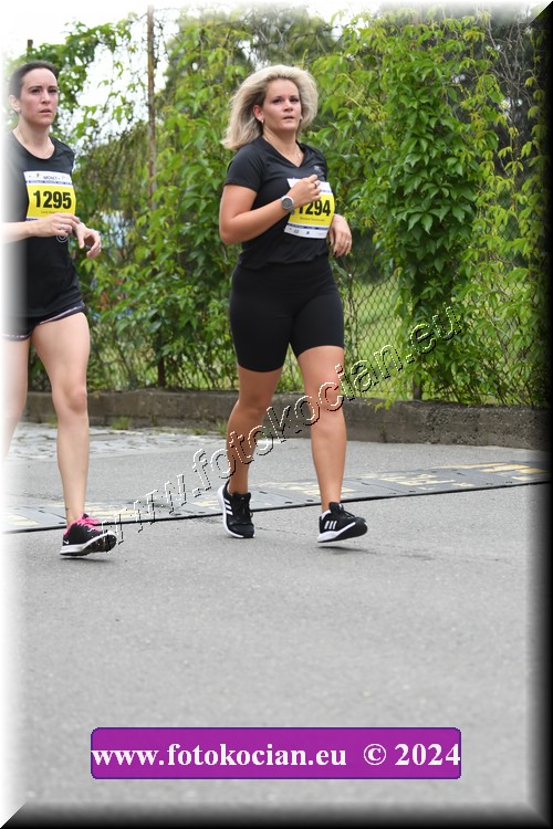 Náhled obrázku: 2024-2054-Zlin-1294,1295.JPG