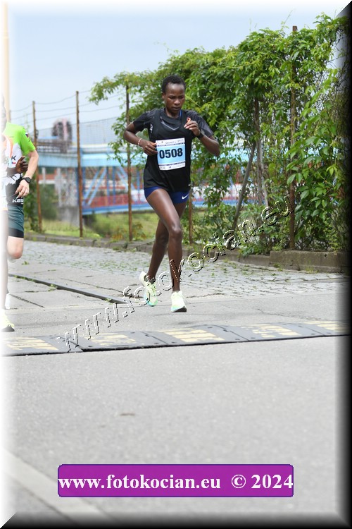 Náhled obrázku: 2024-2120-Zlin-508.JPG