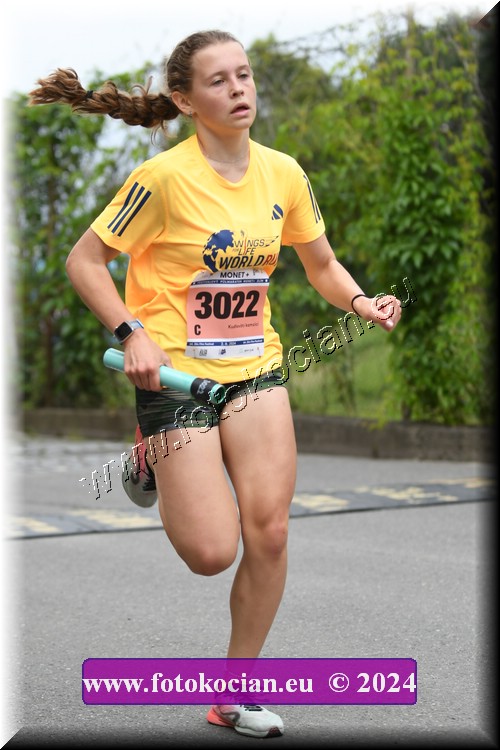 Náhled obrázku: 2024-2187-Zlin-3022.JPG