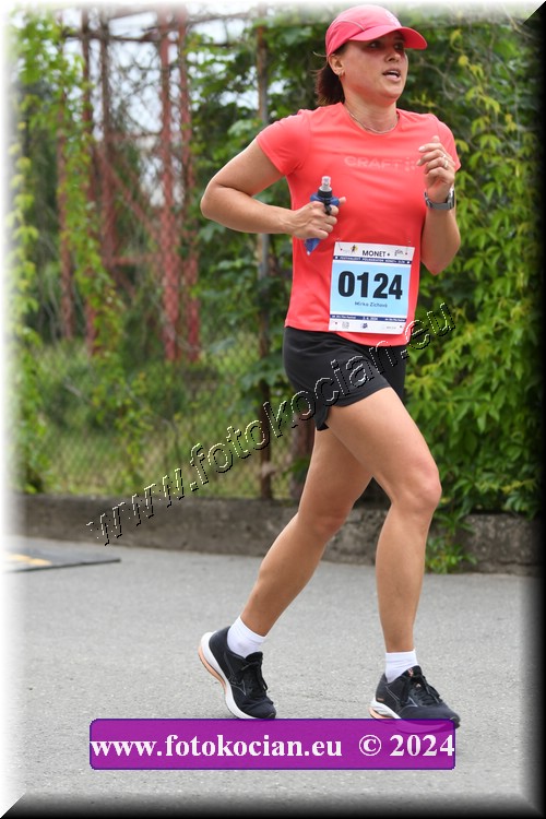 Náhled obrázku: 2024-2461-Zlin-124.JPG