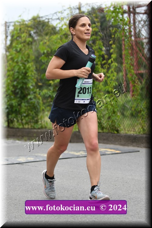 Náhled obrázku: 2024-2596-Zlin-2013.JPG