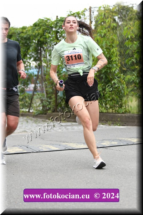 Náhled obrázku: 2024-2771-Zlin-3110,0.JPG