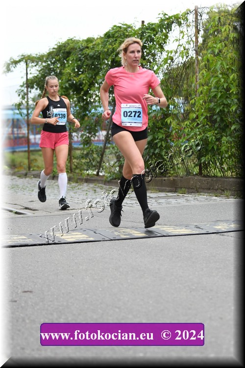 Náhled obrázku: 2024-2802-Zlin-272.JPG