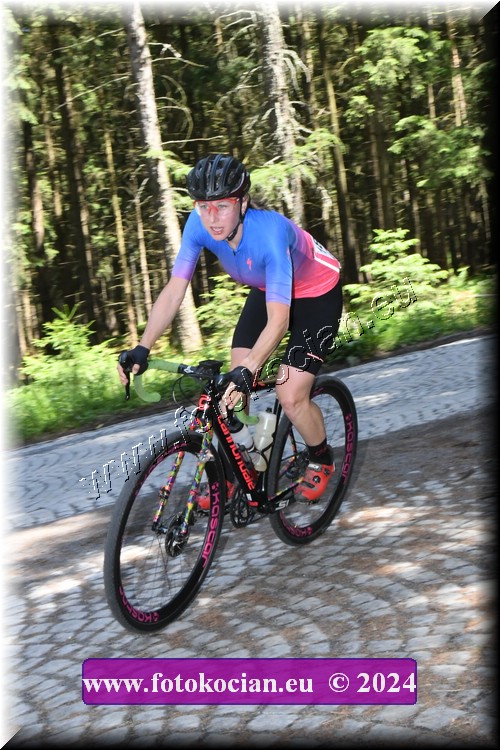 Náhled obrázku: 2024-1155-Brdy-.JPG