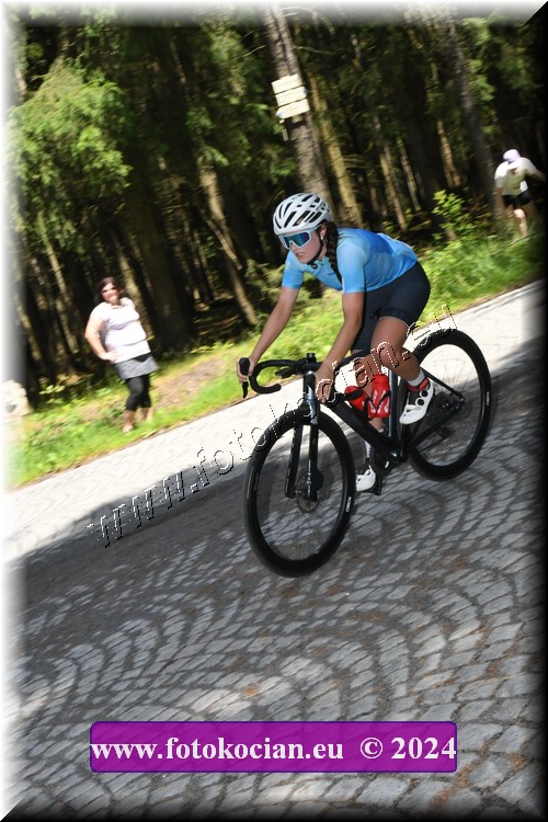 Náhled obrázku: 2024-1176-Brdy-.JPG