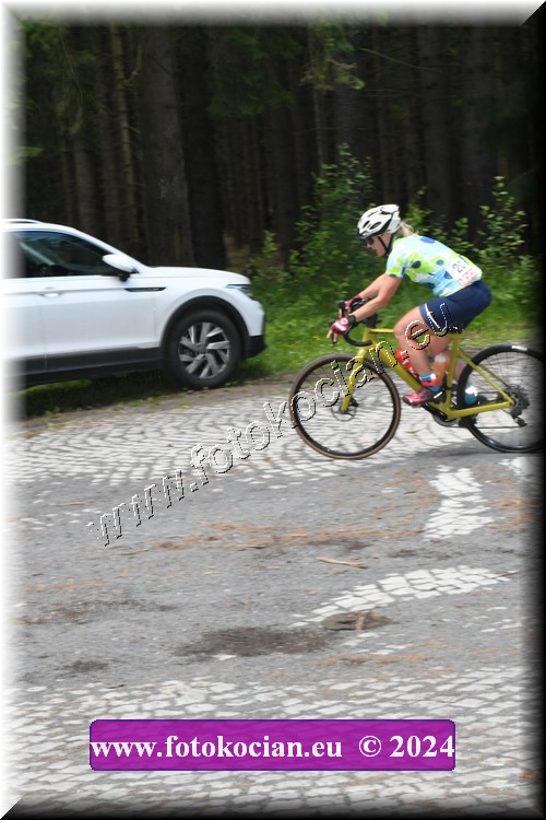 Náhled obrázku: 2024-1187-Brdy-.JPG